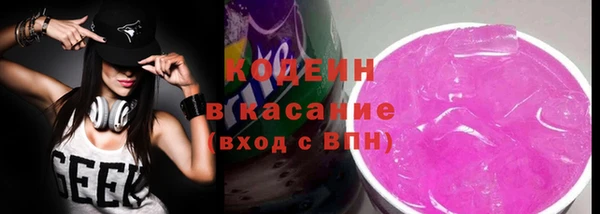 spice Богданович