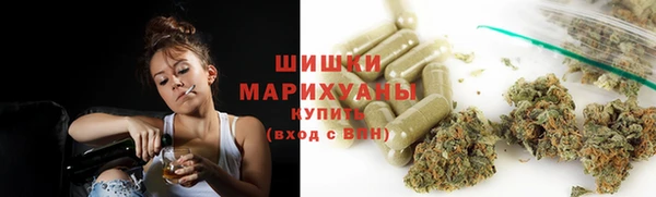 прущие грибы Балабаново