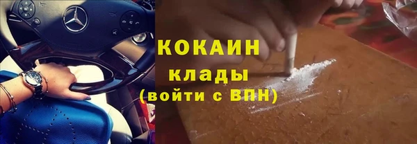 spice Богданович