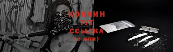 альфа пвп Богородицк