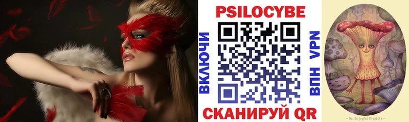 Галлюциногенные грибы Psilocybe  Валуйки 