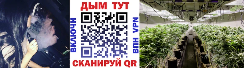 Бошки марихуана гибрид  купить наркотики сайты  Валуйки 